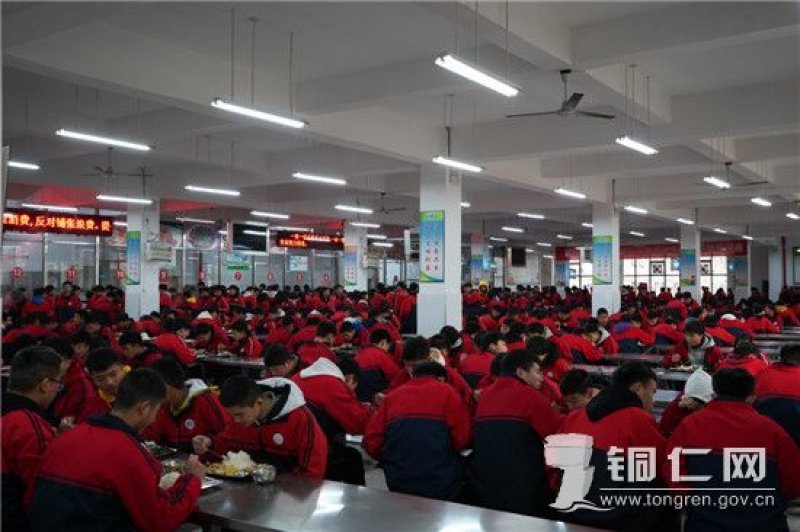 石阡:创新营养餐运行模式,构建“